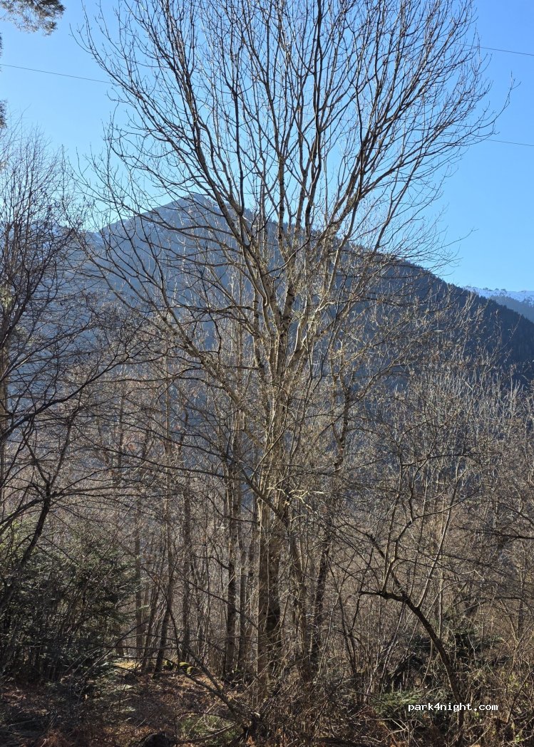 (09110) Mérens-les-Vals - — foto 2