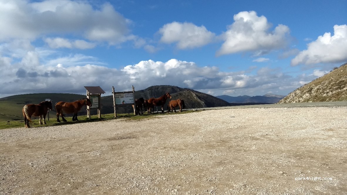 (31680) Ochagavía - Carretera de Abodi — foto