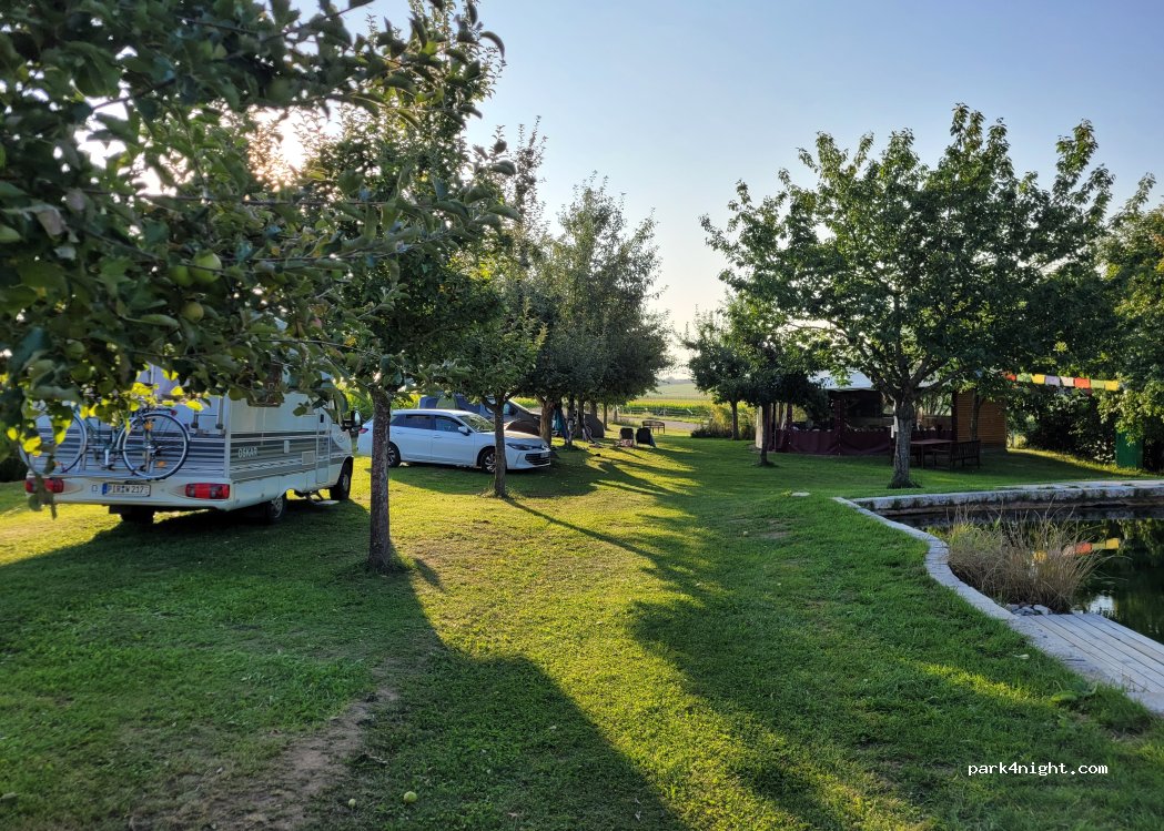 Trekkingcamp-Altmuehlhonig - Michael Waldinger — foto 4
