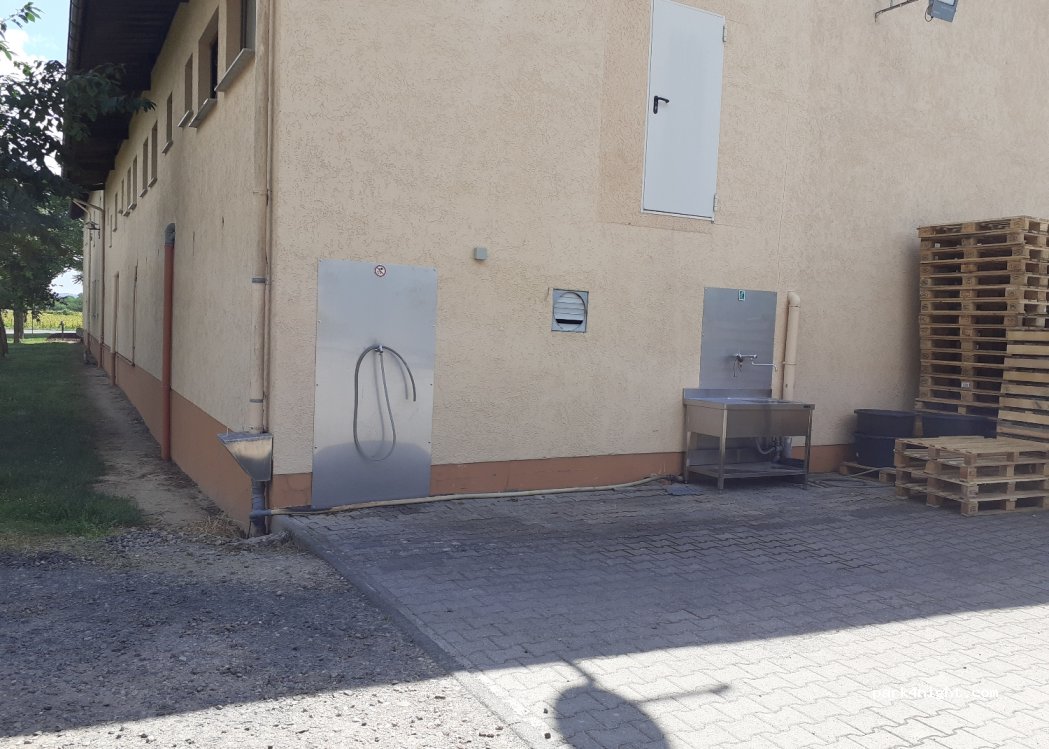 Weingut Schauf — foto 2