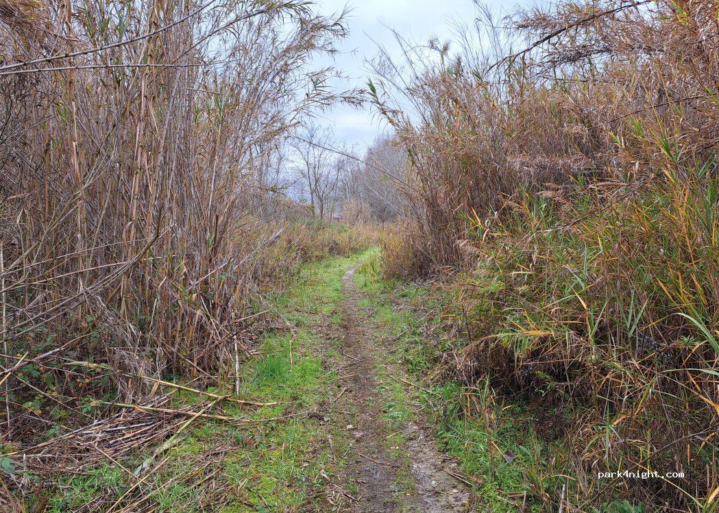 (63811) Sant'Elpidio a Mare - — foto 2