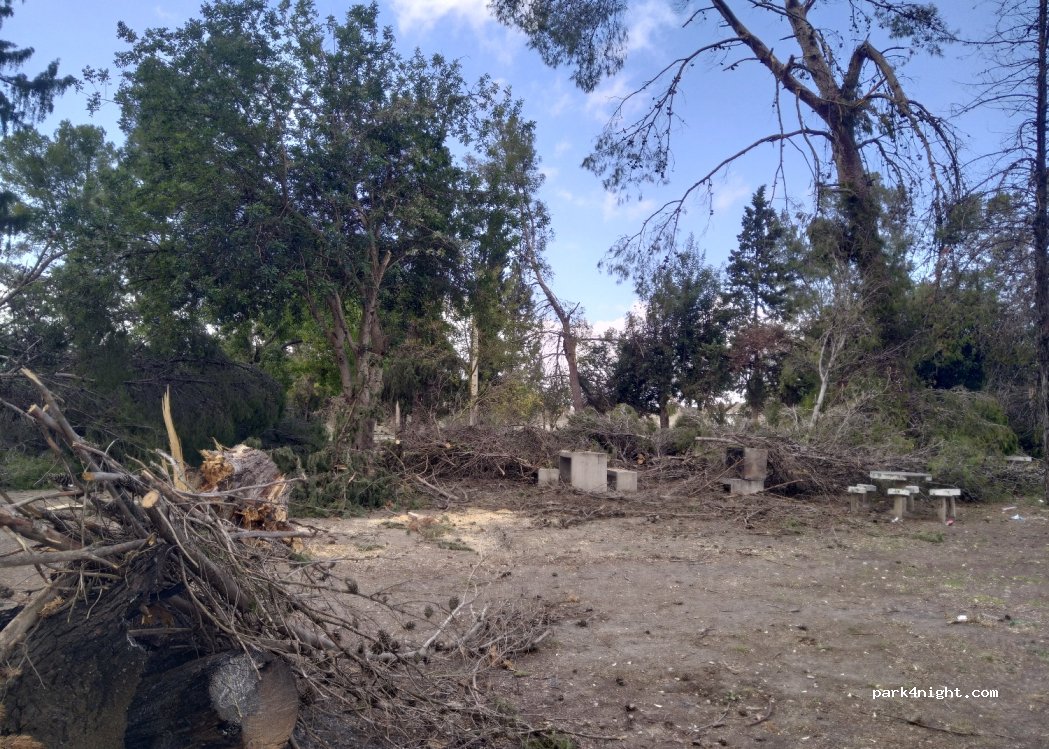 (41710) Utrera - Unnamed Road — foto 4
