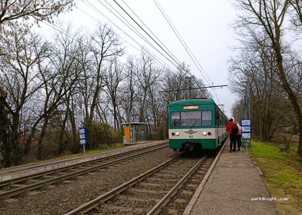 (2146) Mogyoród - Bolnka utca — foto 5