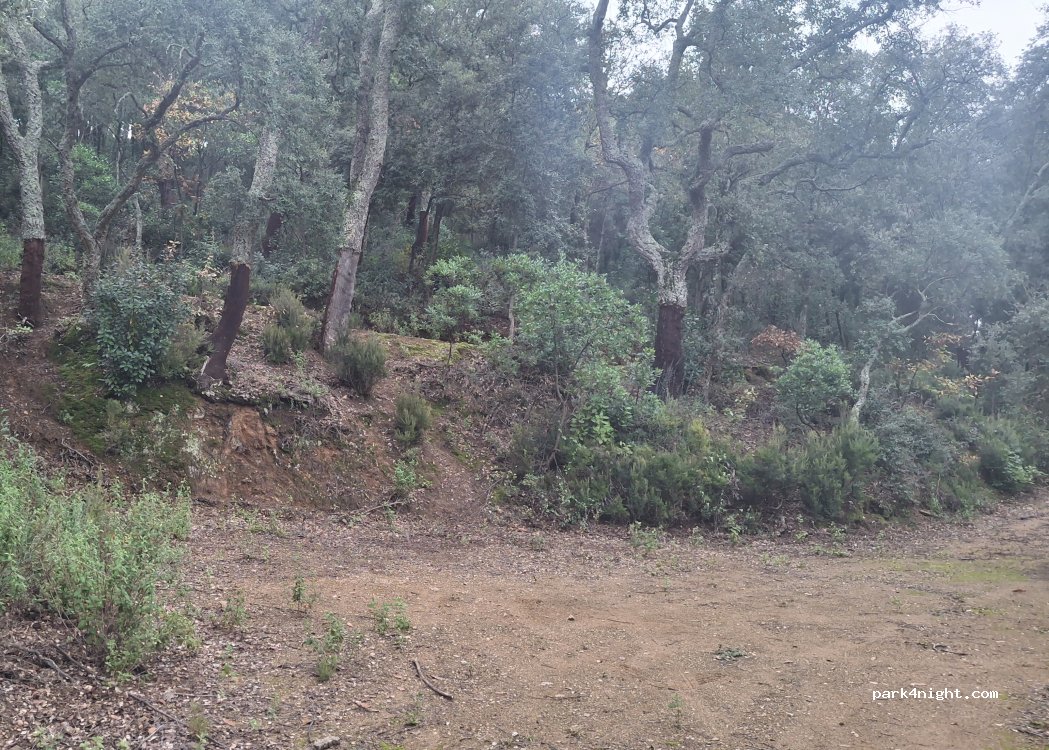 (17400) Breda - Camí del Castell de Montsoriu — foto