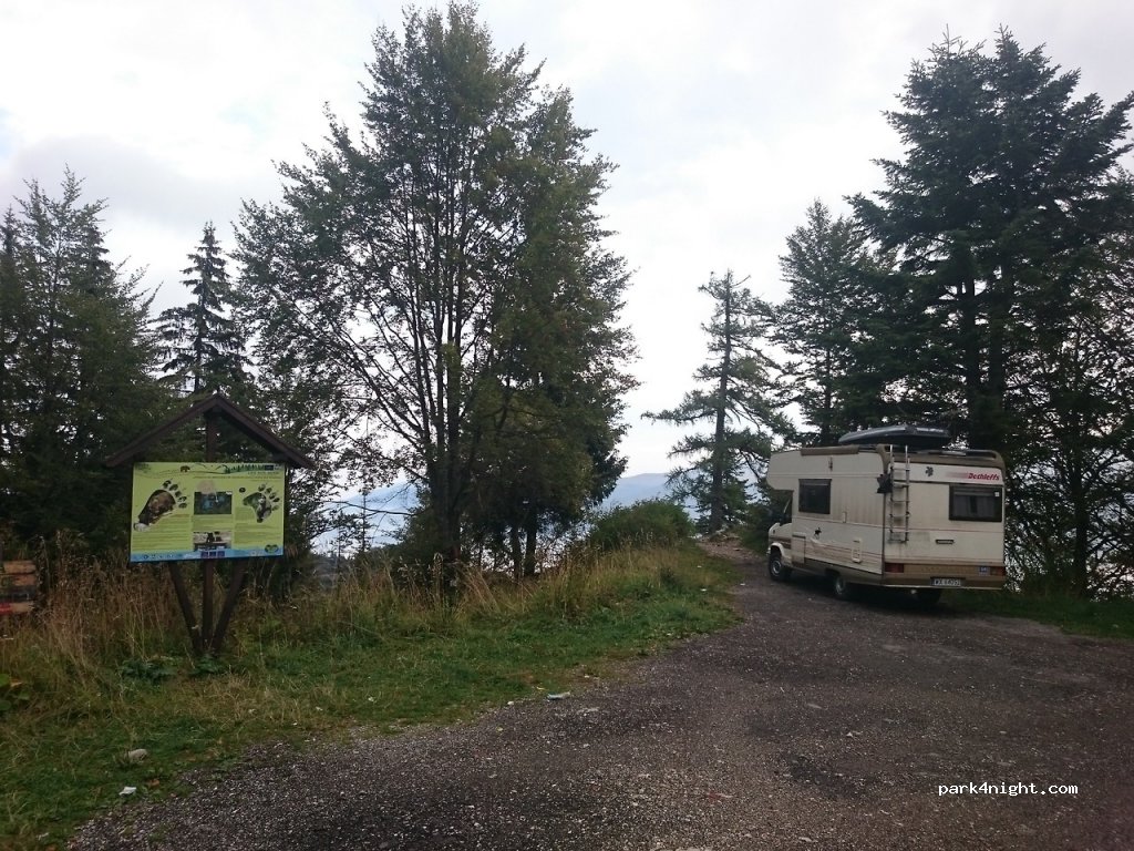 (106100) Sinaia - DC134 — foto