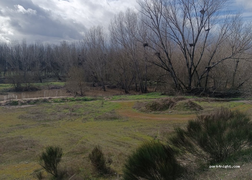 (10318) Talayuela - — foto 2