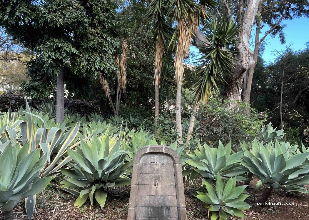 (9000-720) Funchal - Jardim dos Dragoeiros — foto