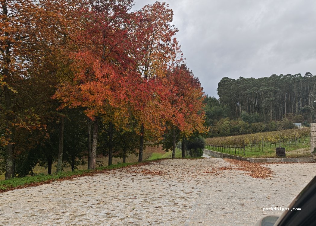 Quinta Picouto De Cima — foto 2