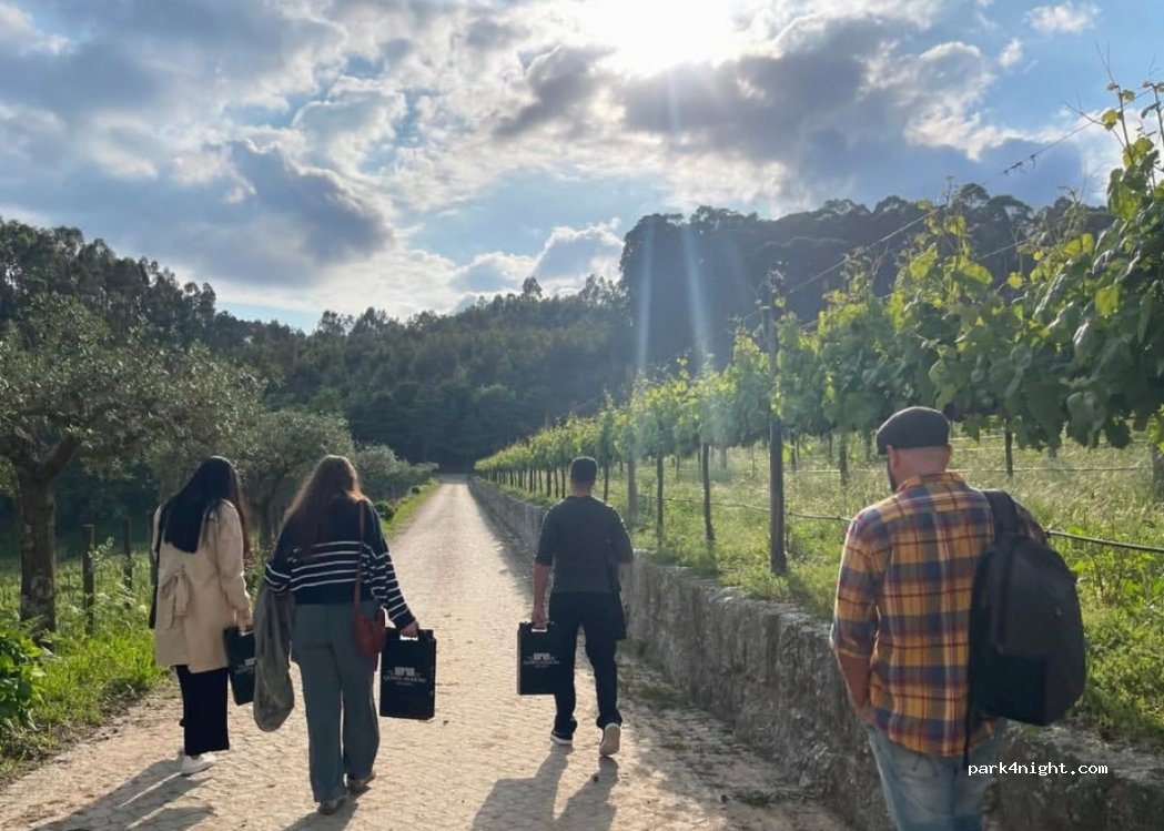 Quinta Picouto De Cima — foto 3