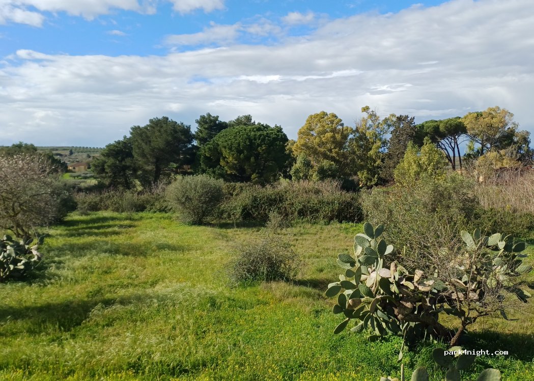 (92010) Montevago - Via Piersanti Mattarella — foto 2