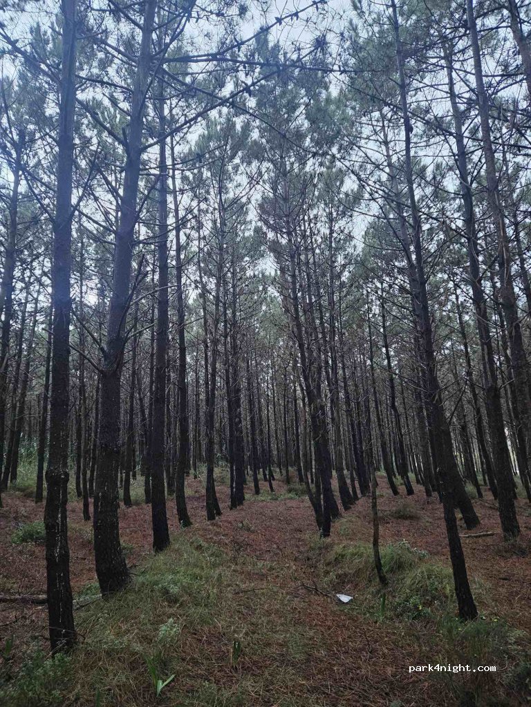 (2530-059) Lourinhã e Atalaia - — foto 2