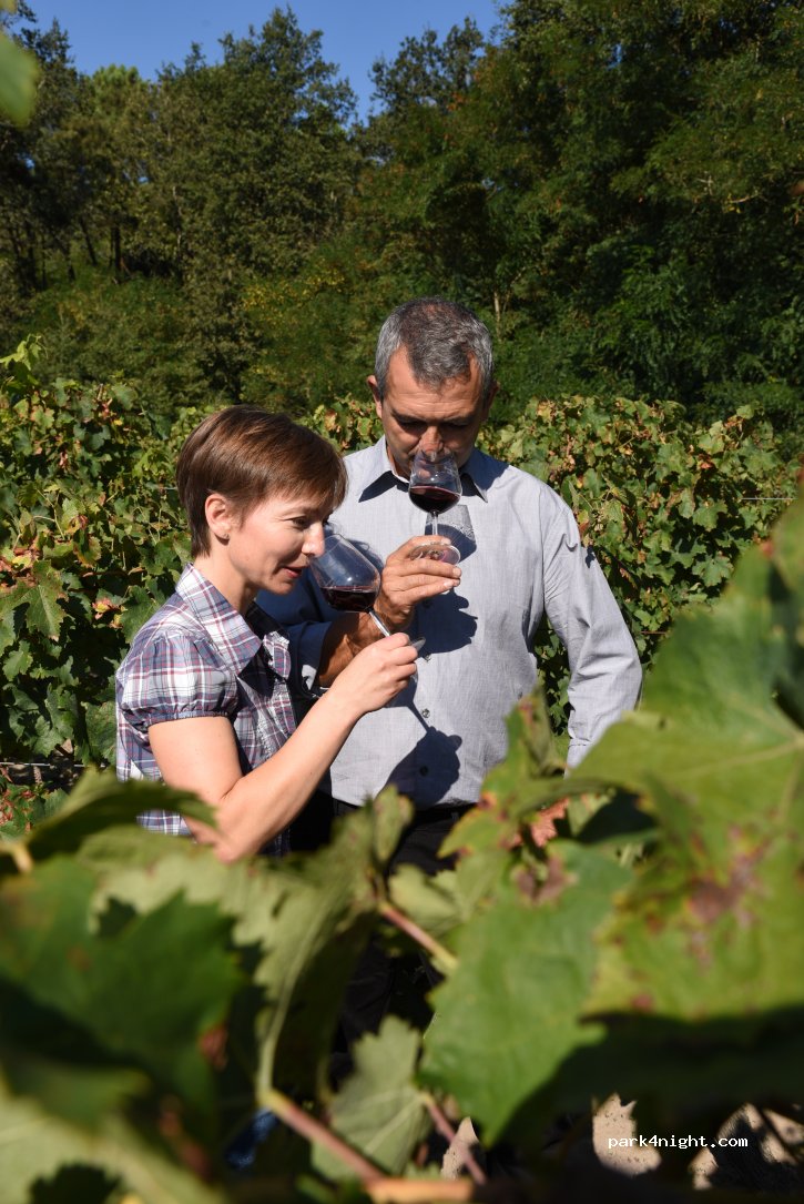 Cave Nathalie et David Drussé — foto 3