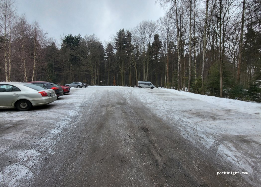 (26-010) Święta Katarzyna - Klasztorna — foto