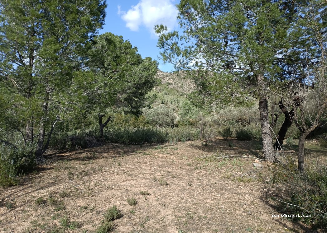 (43320) Tivissa - — foto 4