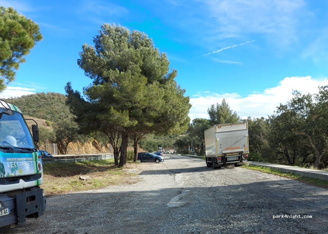 () Bormes-les-Mimosas - D 98 — foto