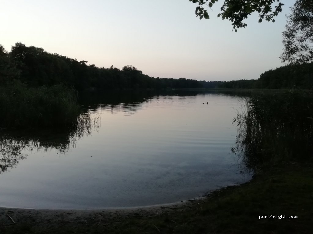 (17235) Neustrelitz - MST16 — foto 3