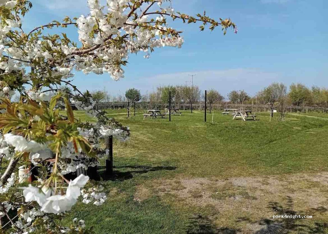 Trelay Campsite — foto 2