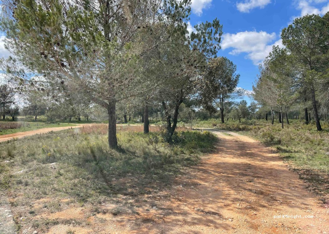 (46810) Enguera - 31 CV-590 — foto
