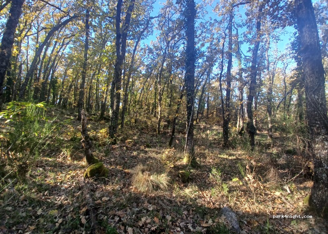 Naturmanera — foto 3