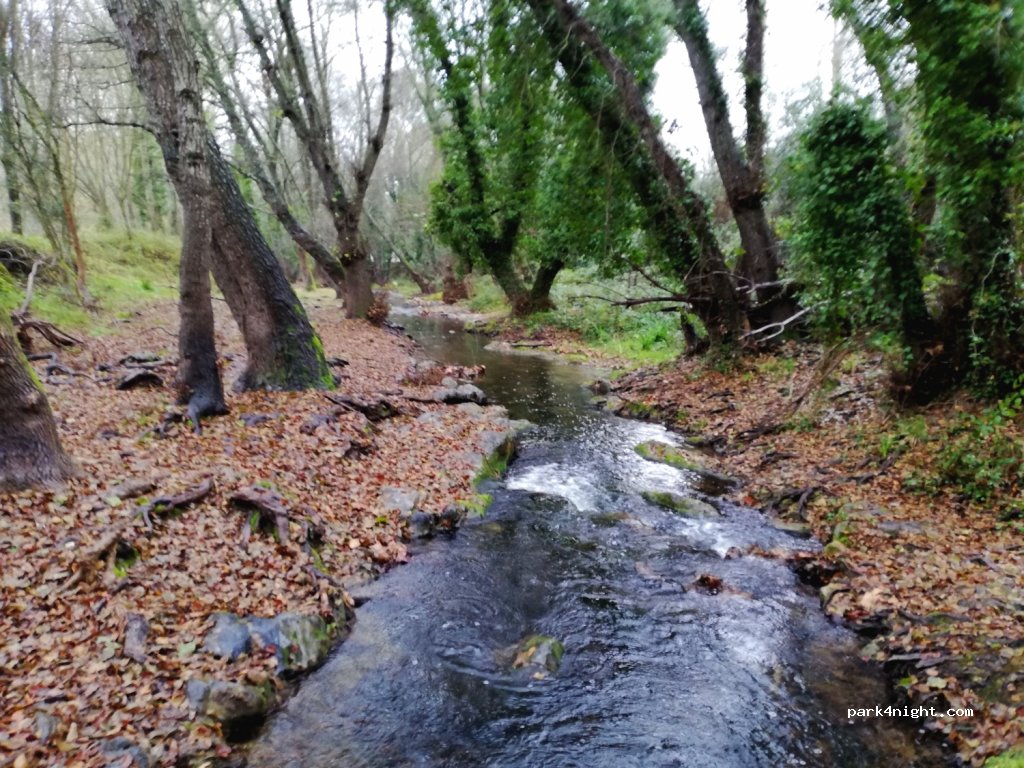 Camping la Fundición — foto