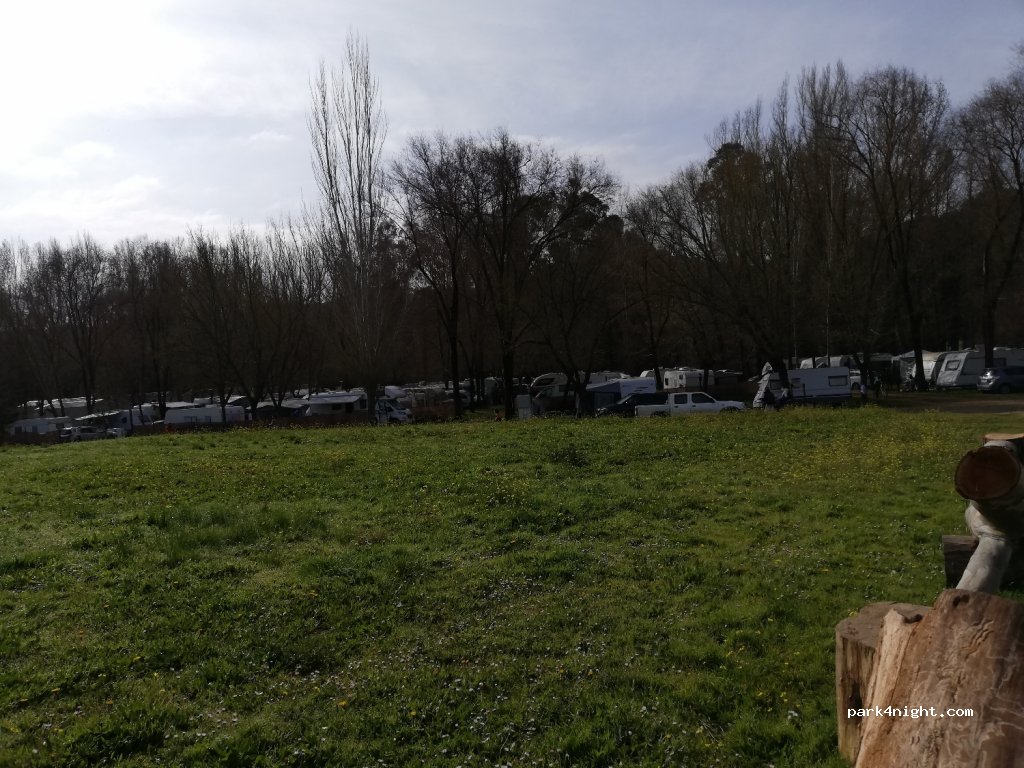 Camping la Fundición — foto 3