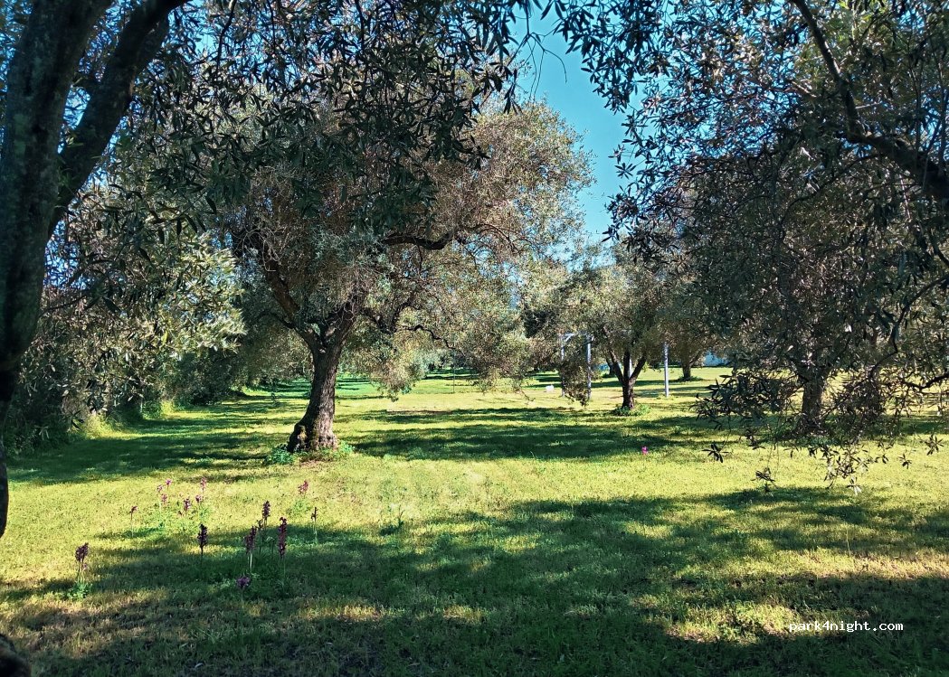 L'Oasi — foto 5