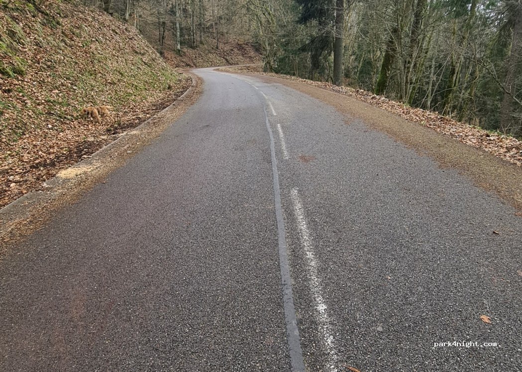 (68760) Goldbach-Altenbach - Route des Crêtes — foto