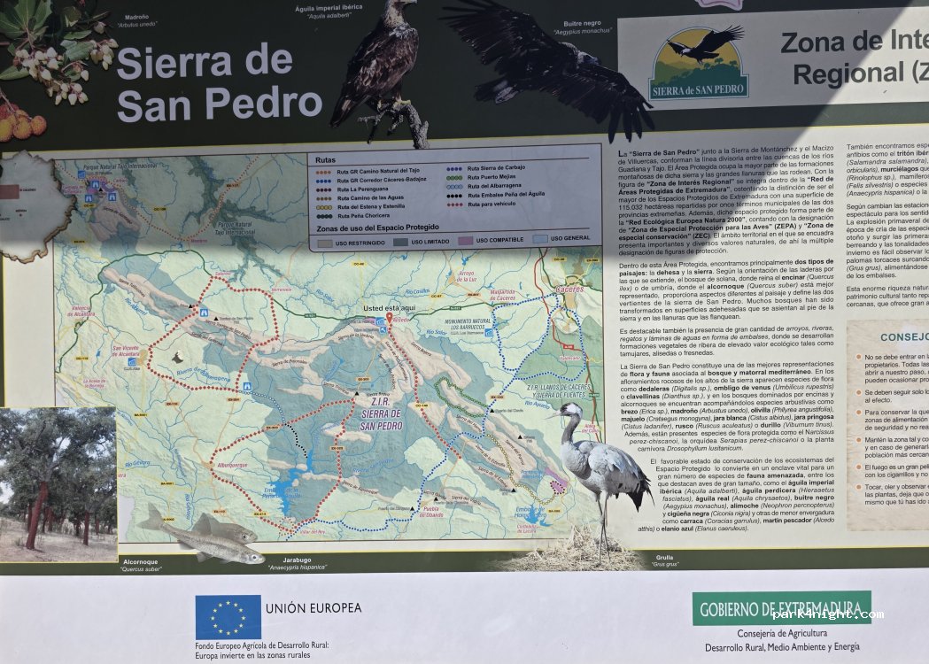 (10550) Aliseda - Carretera de Aliseda a Alburquerque — foto 3
