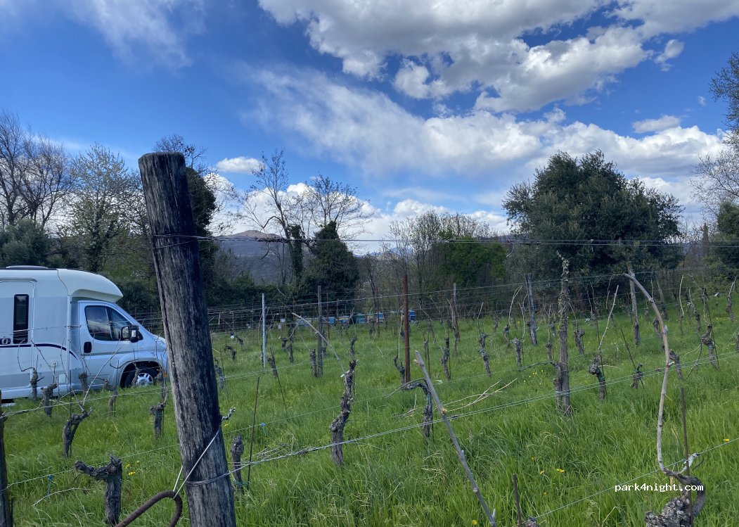 Azienda Agricola La Torre — foto 3