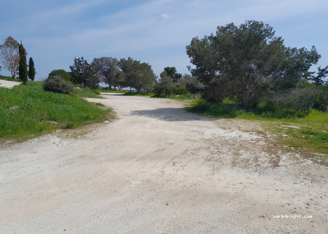 Ayia Napa - — foto 2
