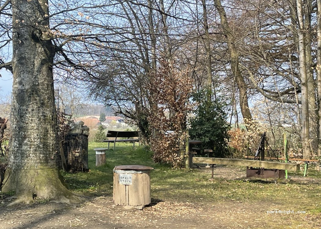 (1794) Murten - Gruse — foto 3