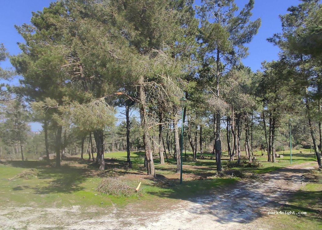 (5140-080 C) Fonte Longa - VM 1 — foto 3