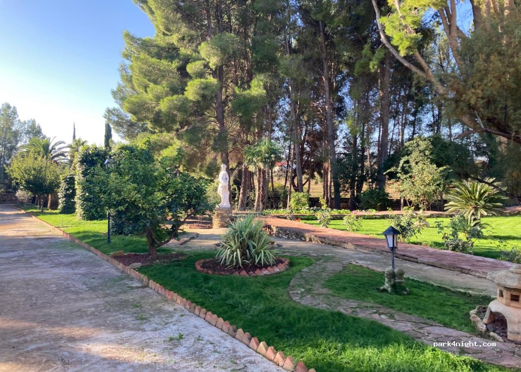 The Pines Hotel — foto 4