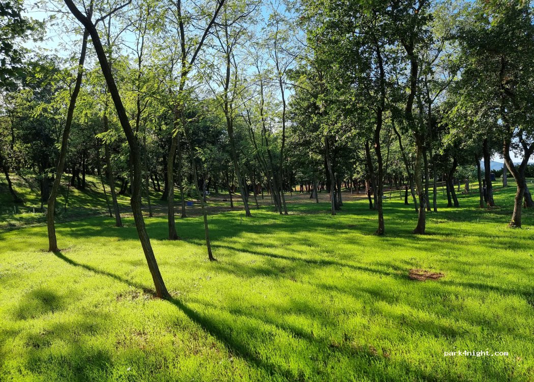 (26800) Étoile-sur-Rhône - Chemin du Bois Barbier — foto