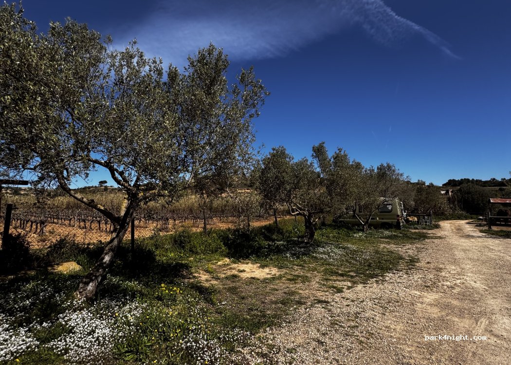 Athípika — foto 5