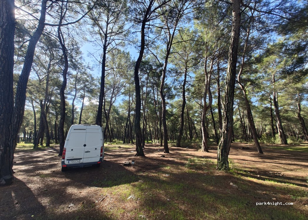 (07140) Döşemealtı - D350 — foto 2