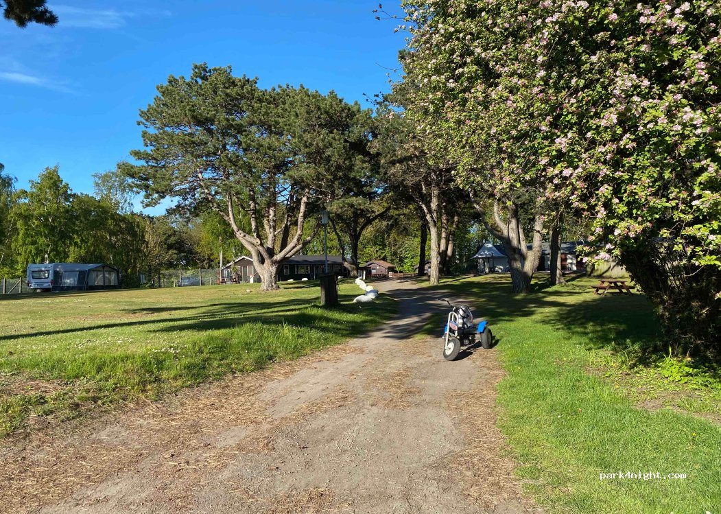 DCU-Camping Rønne — foto 4