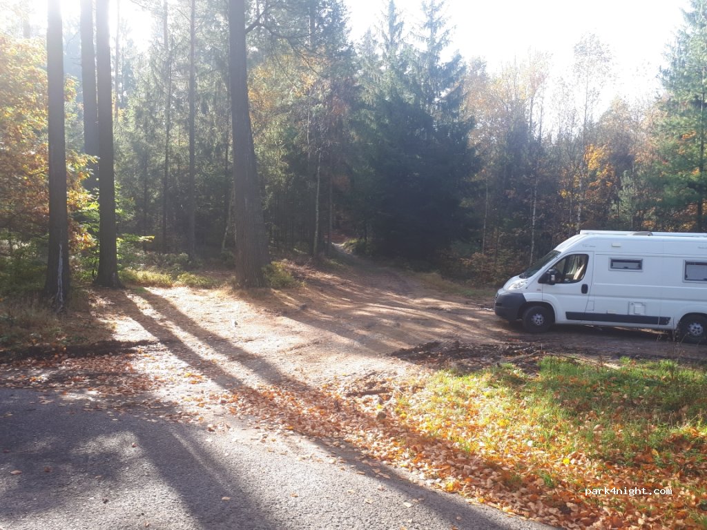 (405 02) Růžová - 25860 — foto
