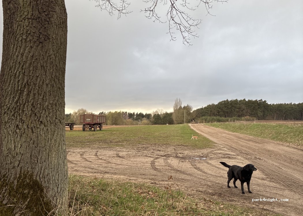 Hofladen & Hofcafé Hohls — foto 4