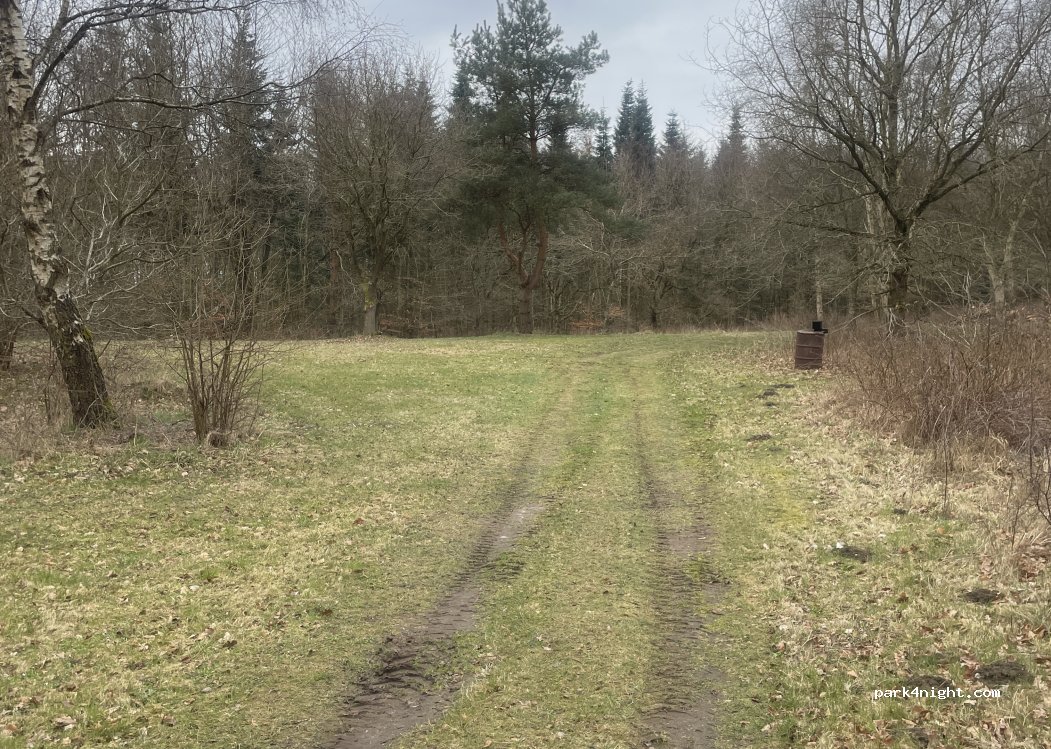 (24354) Kosel - Kornweg — foto