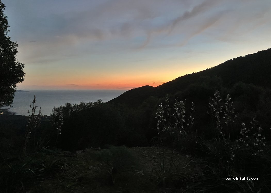 (20160) Coggia - D 56 — foto 2