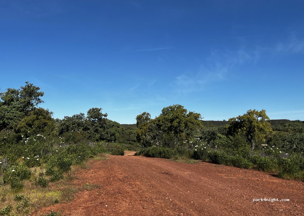 () Aznalcóllar - SE-538 — foto