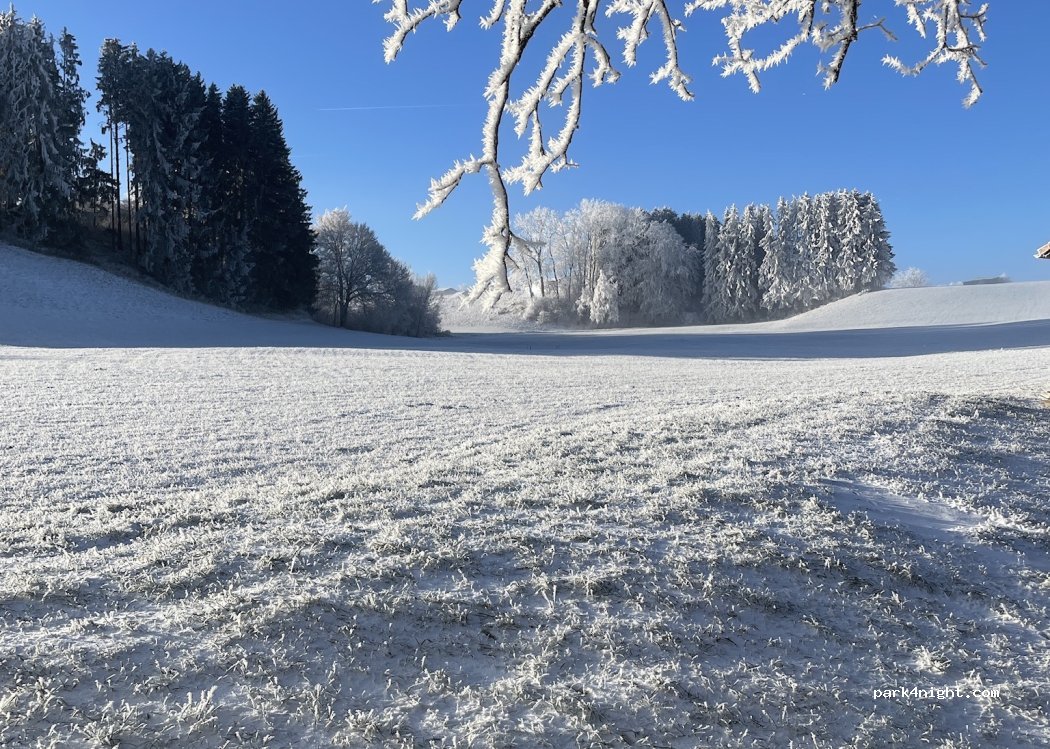 Stellplatz am Waldblick — foto 3