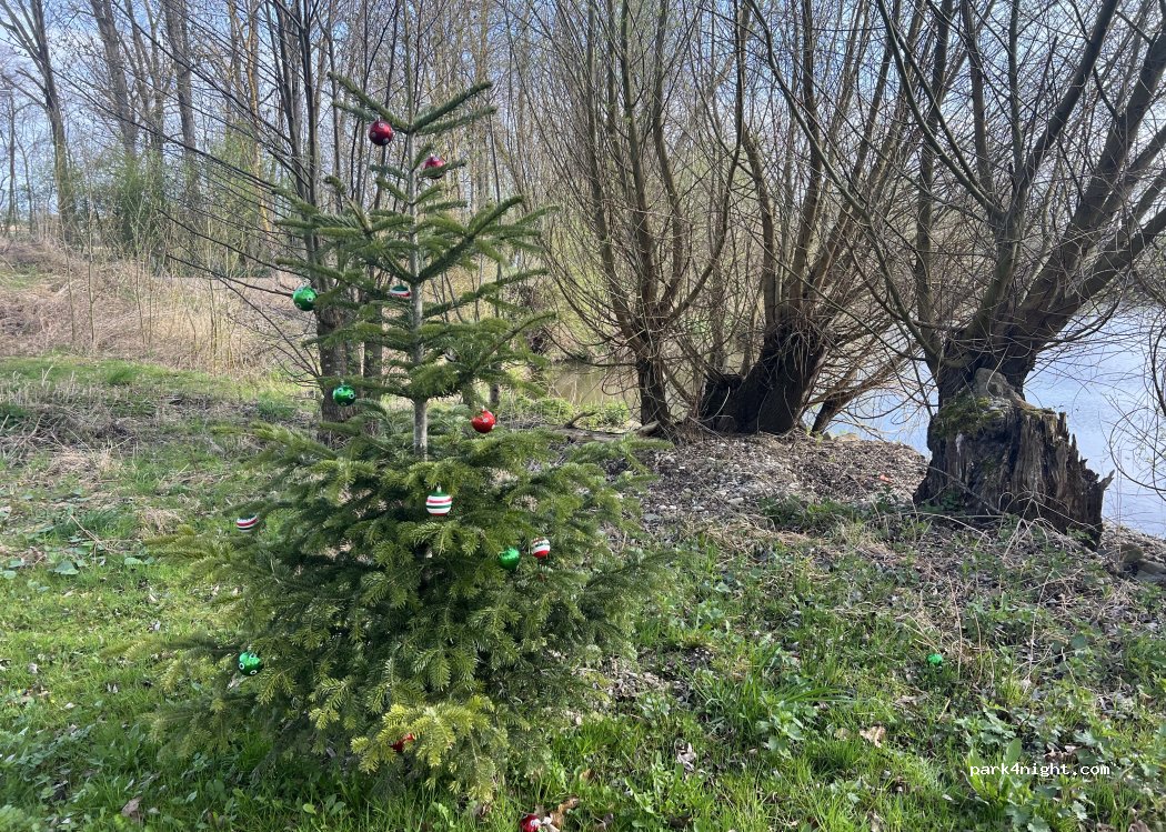 (94060) Pocking - Königswiese — foto 3