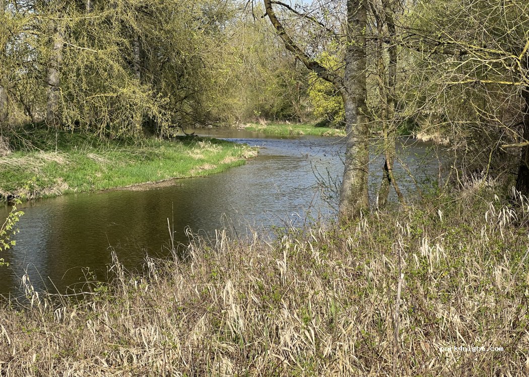 (94060) Pocking - Königswiese — foto 5