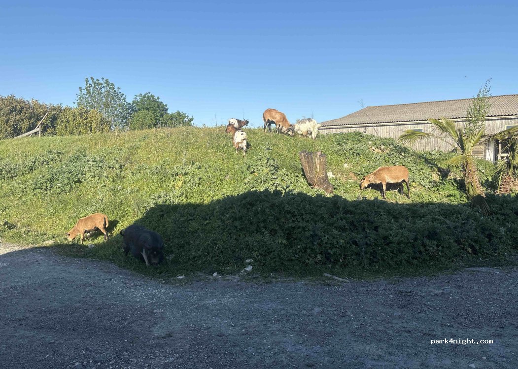 (17138) Saint-Xandre - Chemin de Bel-Air — foto 2