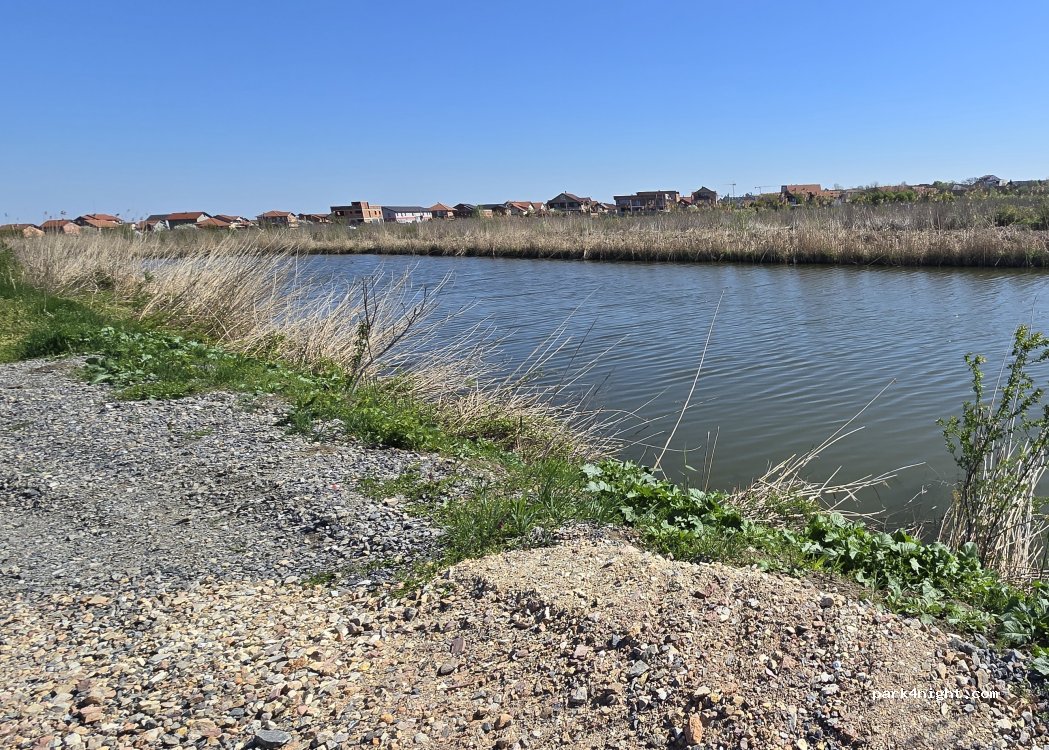 (11211) Borca - Milutina Borisavljevica — foto 2