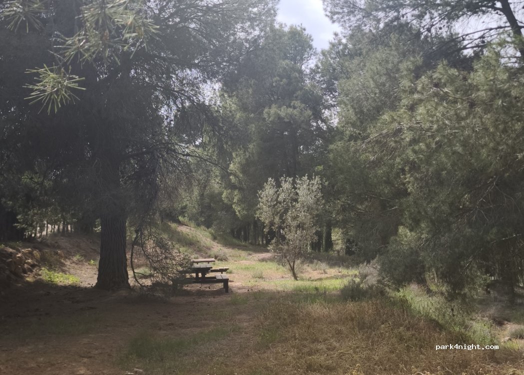 Filada de Santa Quiteria Camping — foto 3