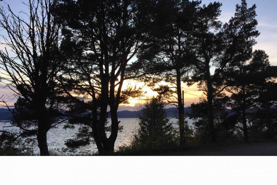 (7105) Stadbygd - Unnamed Road — foto