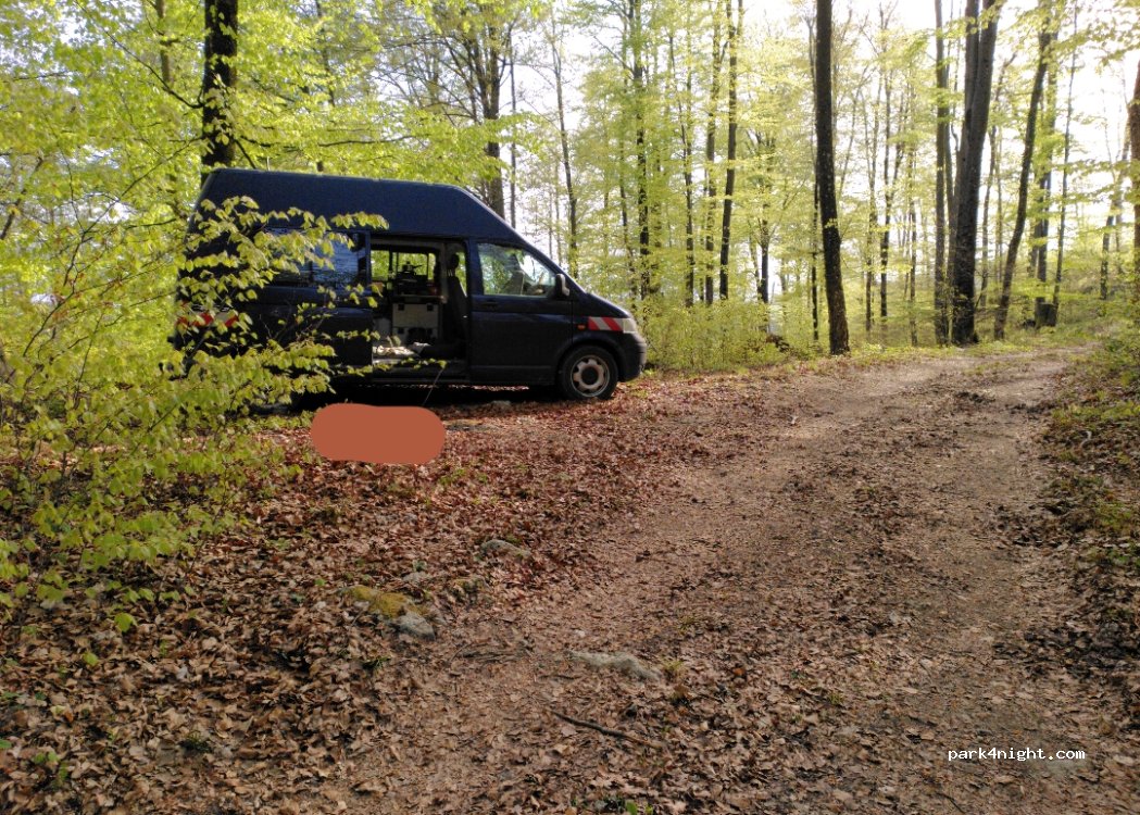 (1356) Medvode - — foto 2
